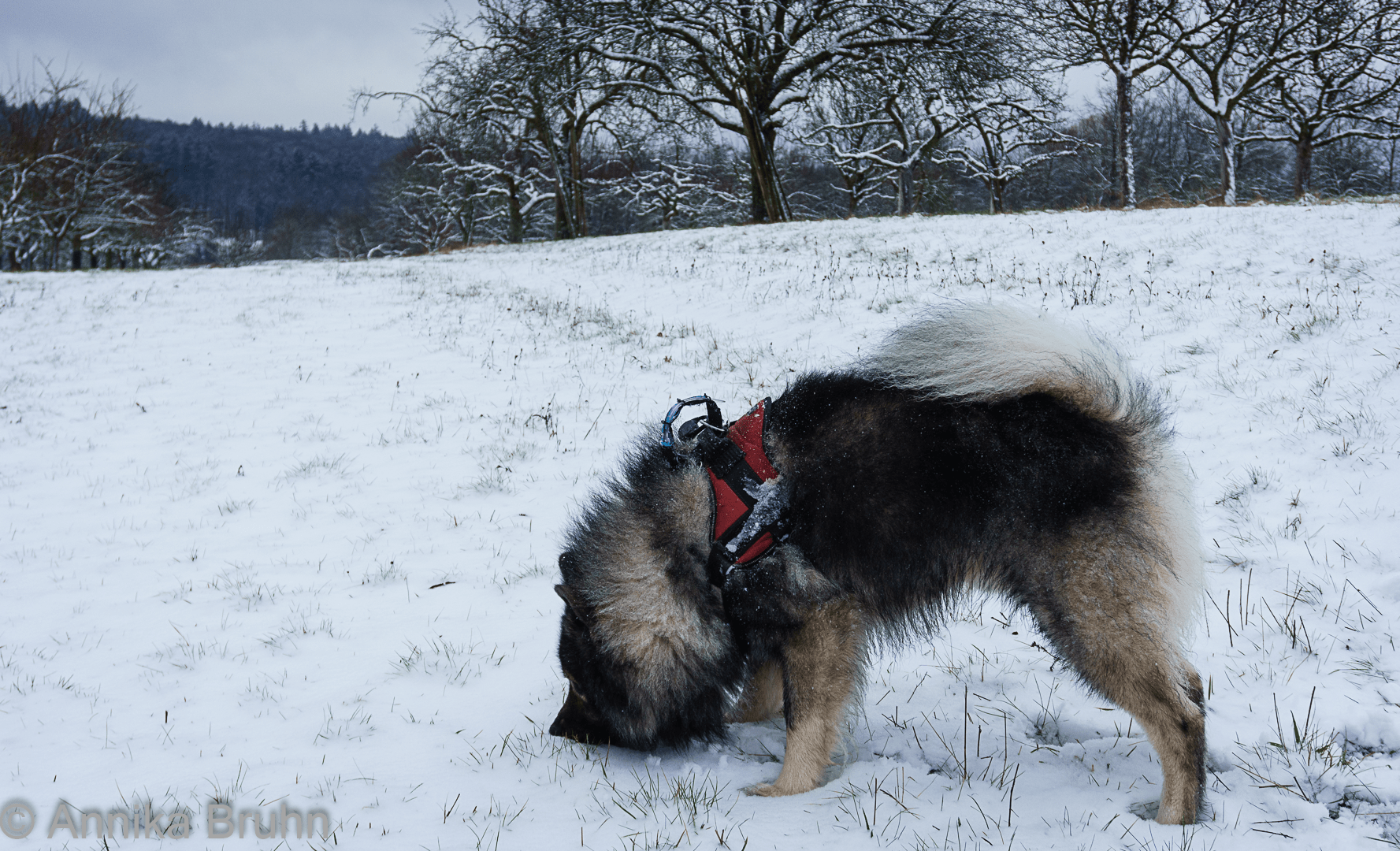 wo versteckst du dich